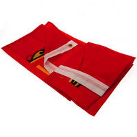 Manchester United flag tæt på logo